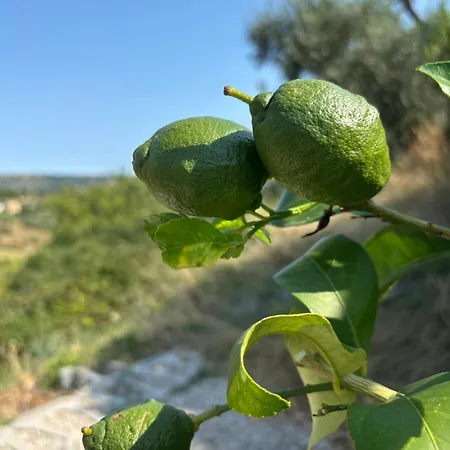 Bed En Bubbels Bennie En Liisa *