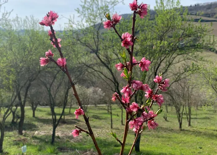 Bed En Bubbels Bennie En Liisa